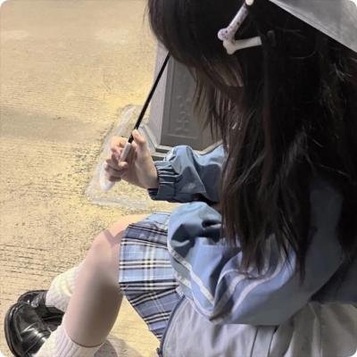 新选组始末录